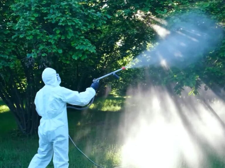 FB_IMG_1717222737086