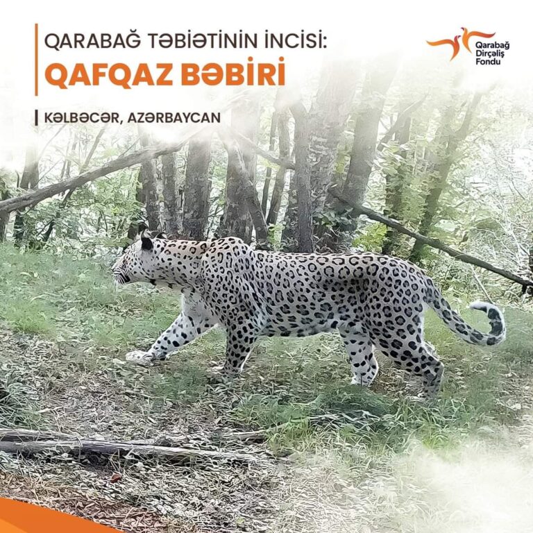 FB_IMG_1720120954847