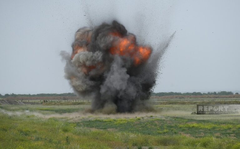 99d24ca0-7e38-3f1a-9d4a-6c819a031eee_850