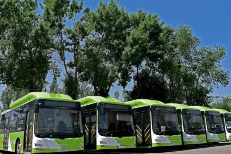 avtobus