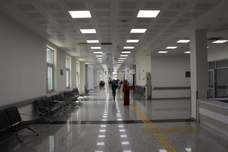 xestexanaa1731461668