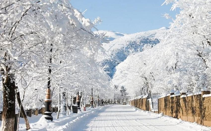 FB_IMG_1738828182204