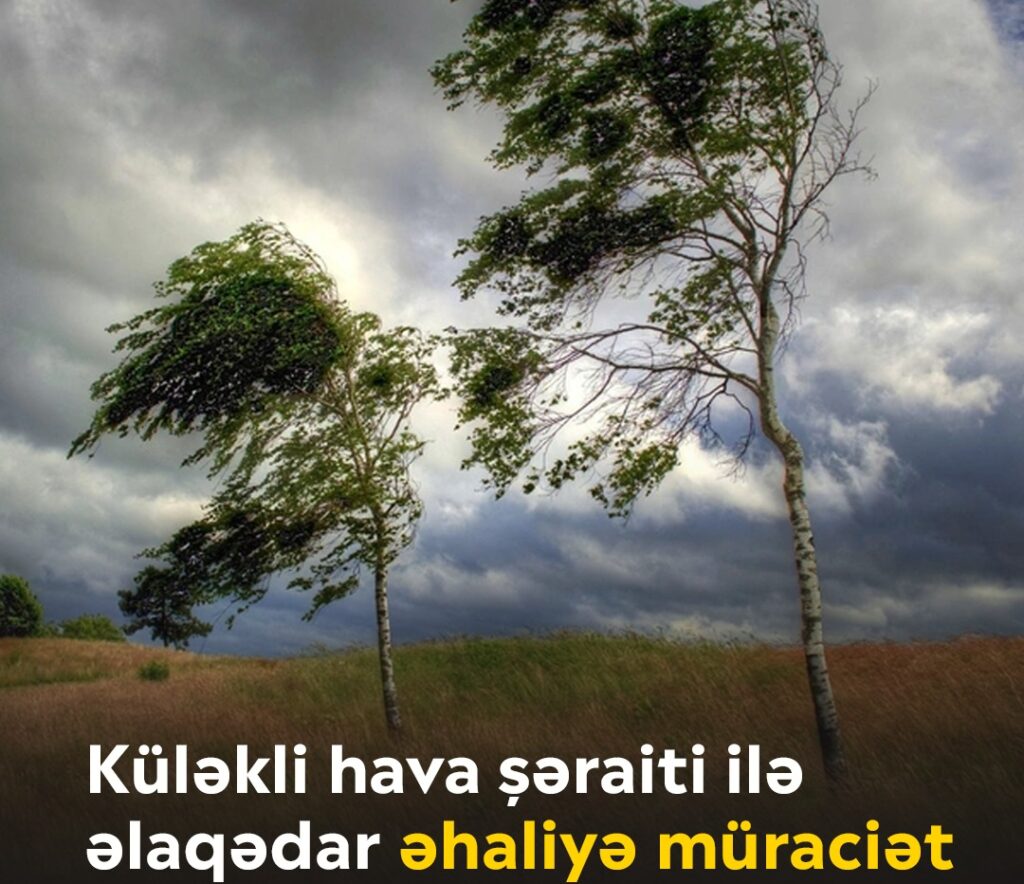 559743052_122229822758146263_8128162001636346496_n