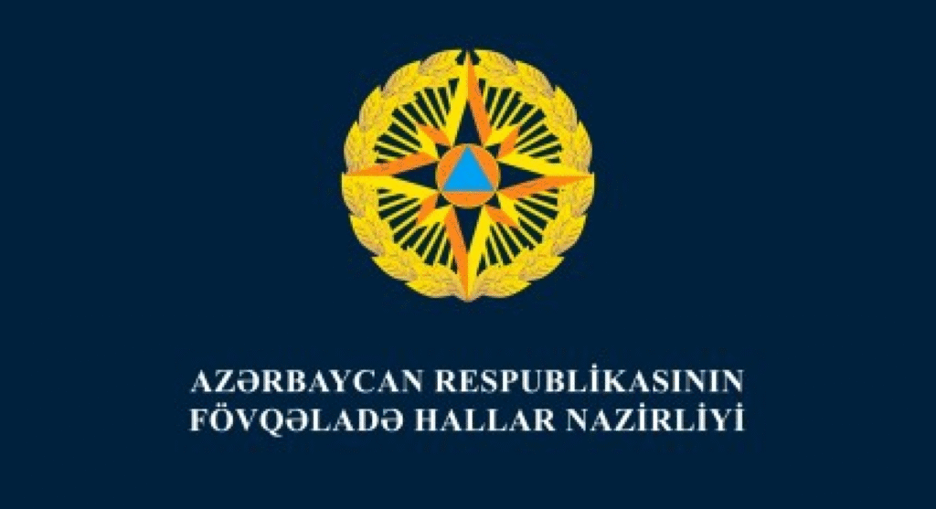 image-1-1