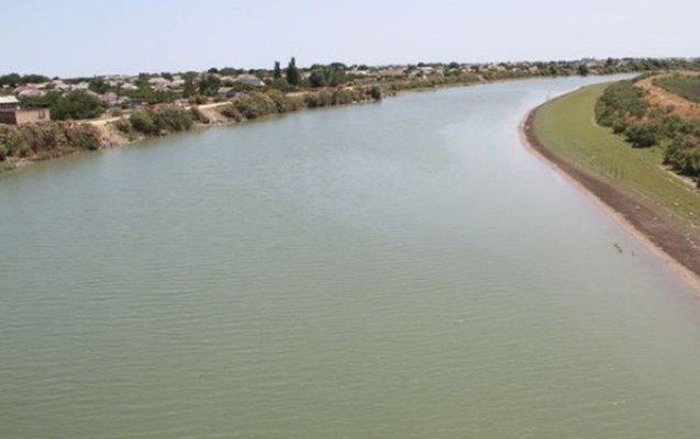 1658062256_1658053490_kurcayi65