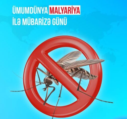 678949529_1280825840906688_5251645227337929098_n