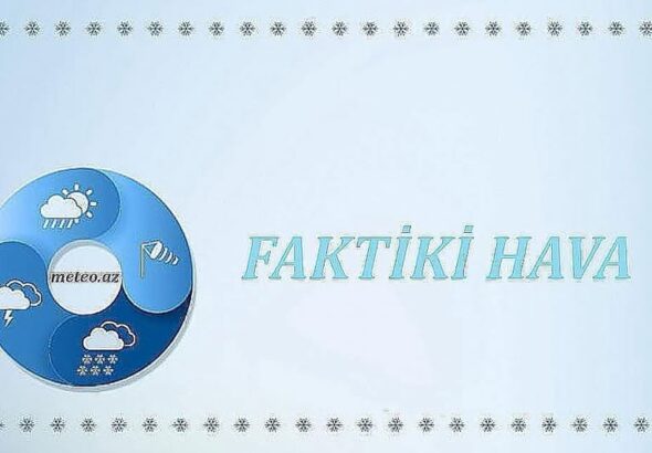 680342232_1429349252324676_6823717946511394568_n