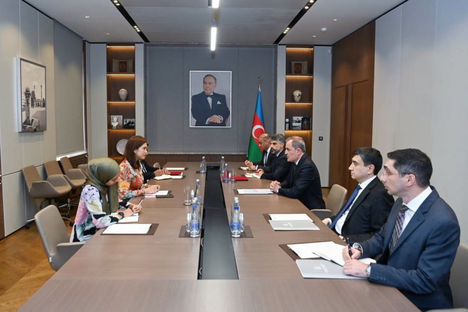 Ceyhun Bayramov səfiri ilə görüş