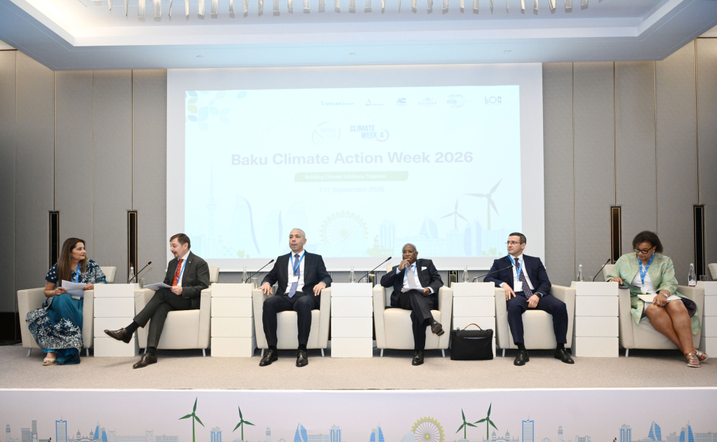 COP31
