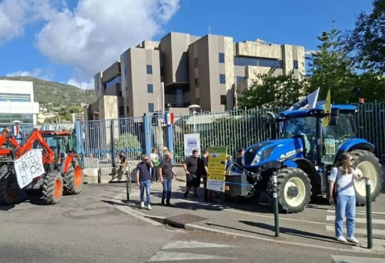 Korsikada yüzlərlə fermer yardım tələb edir